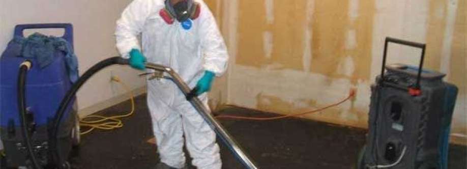The Mold Guys Cover Image