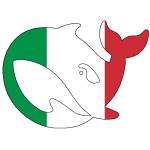 deepseekitaliano Profile Picture