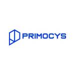 Primocys IT Company Profile Picture