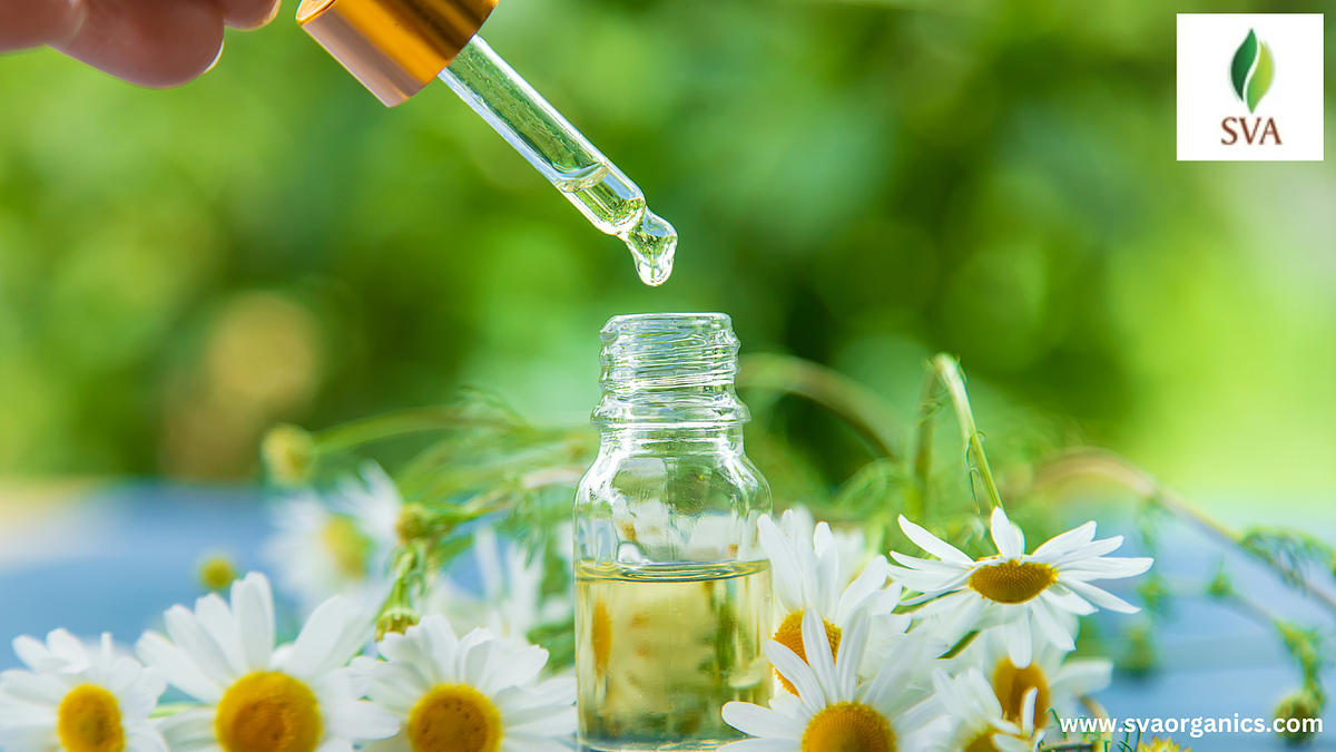 How to Find a Reliable Bulk Exporter of 100% Pure Essential Oils | by SVA | Mar, 2025 | Medium
