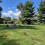Dear Pet Memorial Park Profile Picture