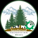 needleleaf foundation Profile Picture