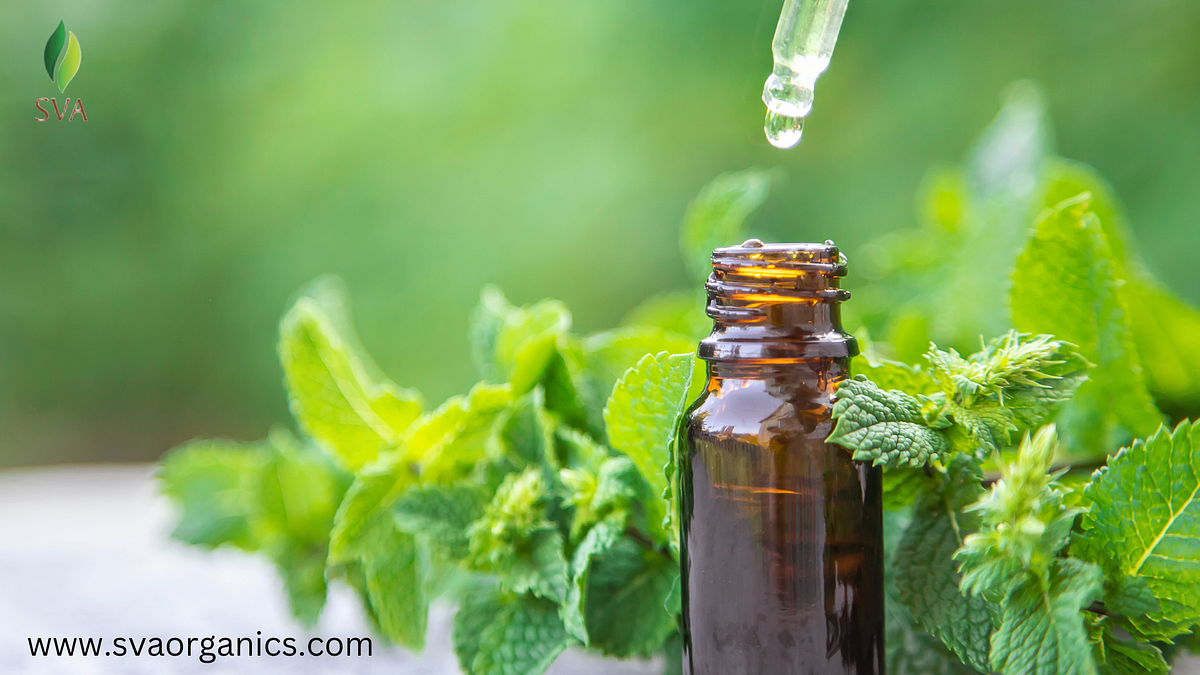 Buy Bulk Peppermint Oil at Competitive Prices | by SVA | Mar, 2025 | Medium