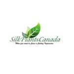 Silk Plants Canada Profile Picture