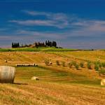 Central Alberta Hay Sales Ltd Profile Picture