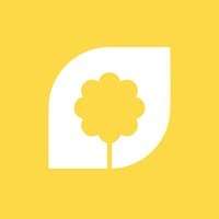 Lemon Tree Hire Profile Picture