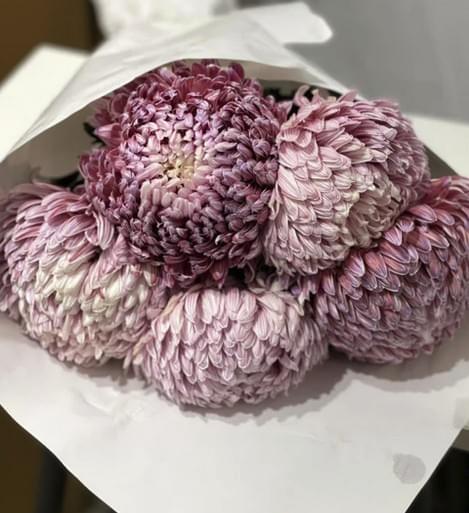 Elegant Blooms and Creative Arrangements for Every Even...