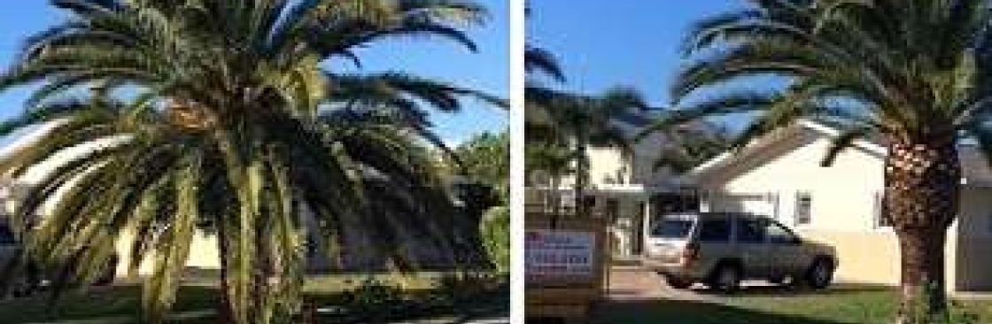 The Palms Tree Service Inc Cover Image