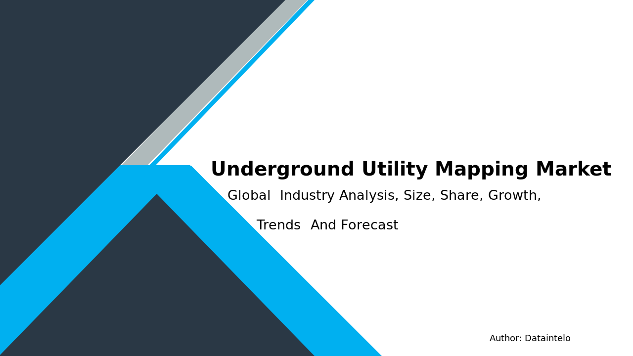Underground Utility Mapping Market Report | Global Forecast From 2025 To 2033