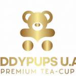 PetshopinDubai Profile Picture