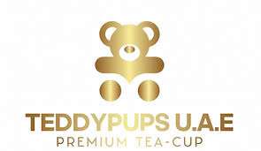 Petshop in Dubai Profile Picture