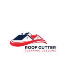 Roof Gutter Cleaning Geelong Profile Picture