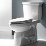 Glacier Toilet glacier Profile Picture