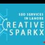 SEO Services In Lahore Profile Picture