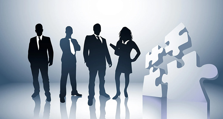 IT Network Integration Support Services and Manpower Solution Provider Company in India