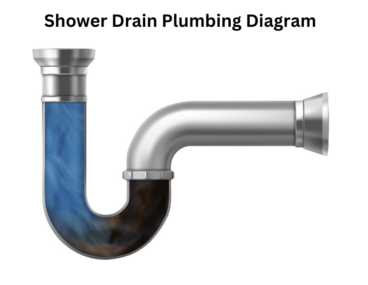Your Best Shower Drain Plumbing Diagram: A Simple Guide - Gray Electric & Plumbing