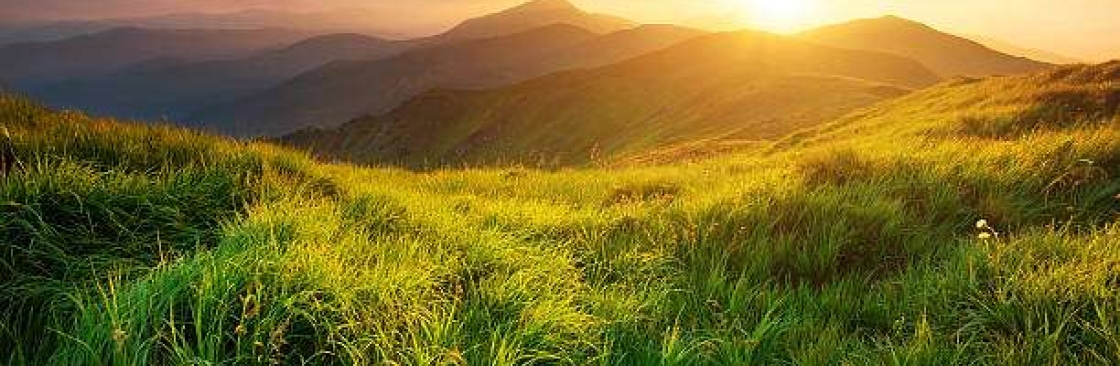 Ooty Heritage Tours And Travels Cover Image