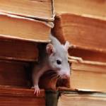 Atlas Pest Control Services Profile Picture