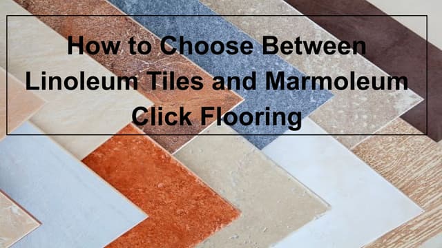Linoleum Tiles vs. Marmoleum Click: Which Flooring to Choose? | PPT