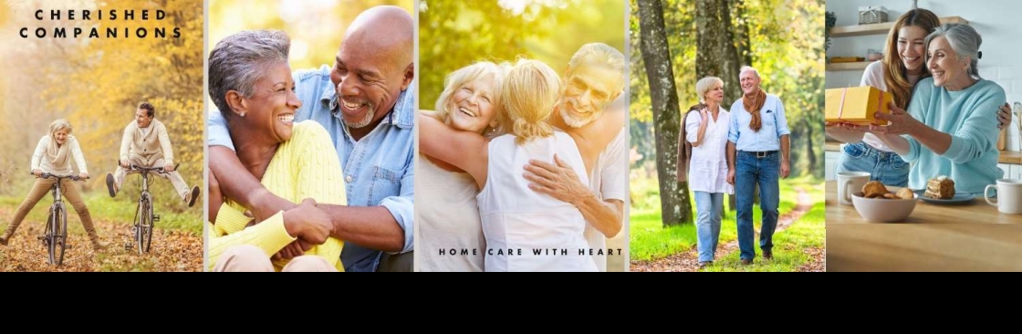 Cherishe Dagency Cover Image