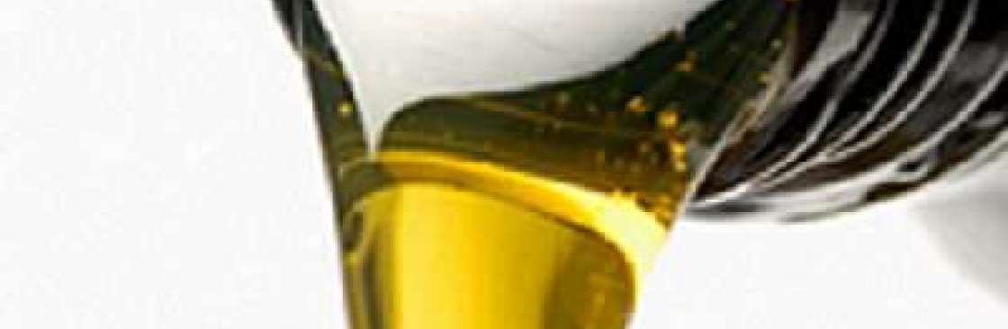 S T Foreign and Domestic Auto Service LLC Cover Image