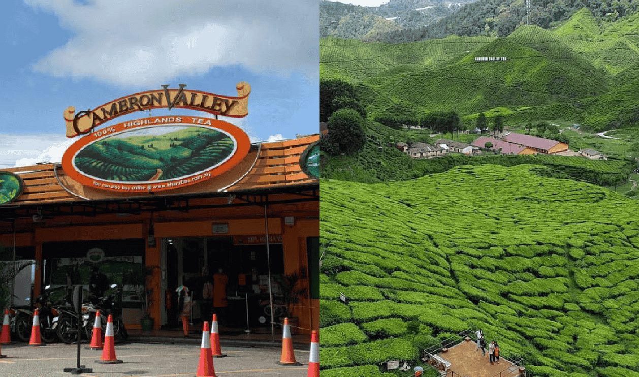 Affordable Glamping in Cameron Highlands | Zakka Campsite