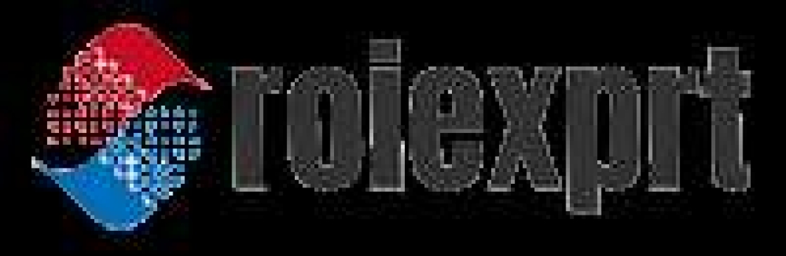ROI EXPERT Cover Image