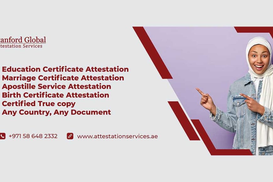 Streamline Your University Degree Attestation Process in UAE - News By Bang Box Online