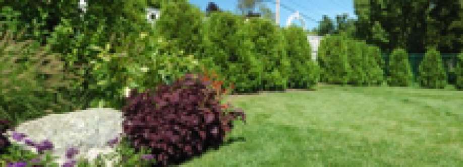 Rainy Day Irrigation and Landscaping Cover Image