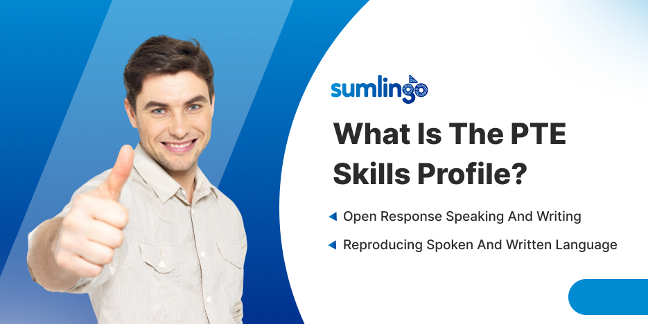 Everything You Need to Know About the PTE Skills Profile
