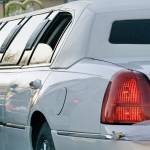Fantasy Limousine Service Profile Picture