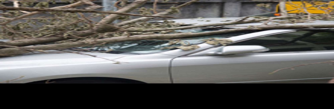 Wallace Insurance Agency Cover Image