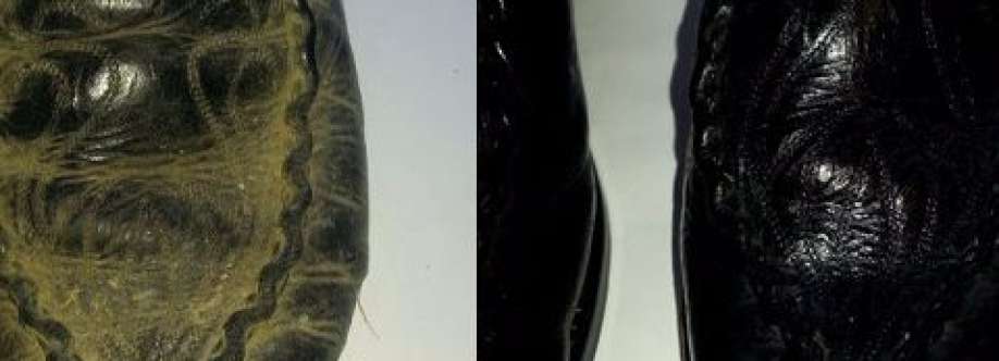 Shoe Care LLC Cover Image