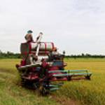 N R Feed And Supply Profile Picture