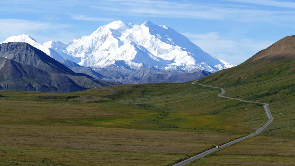Denali Guided Tour | Alaska Small Group Tour from Fairbanks to Anchorage