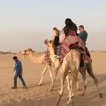 Dubai Desert Safari Price Profile Picture