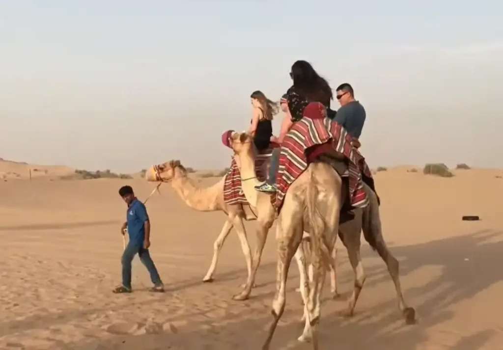 Dubai Desert Safari Price Profile Picture