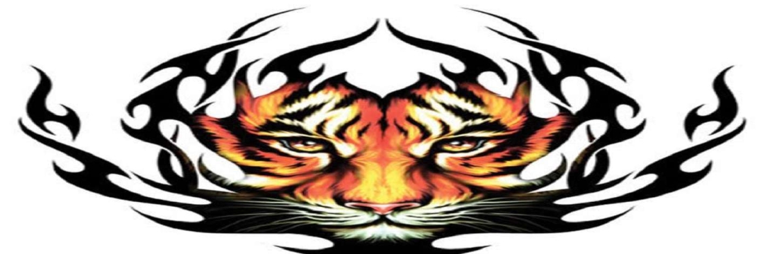 Look Look Tattoo Cover Image