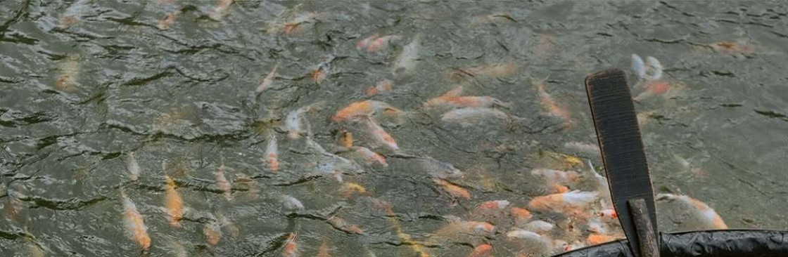 Thephototoday photography Cover Image