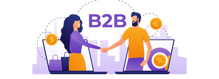 DealsInsight Sales and Consulting Cover Image