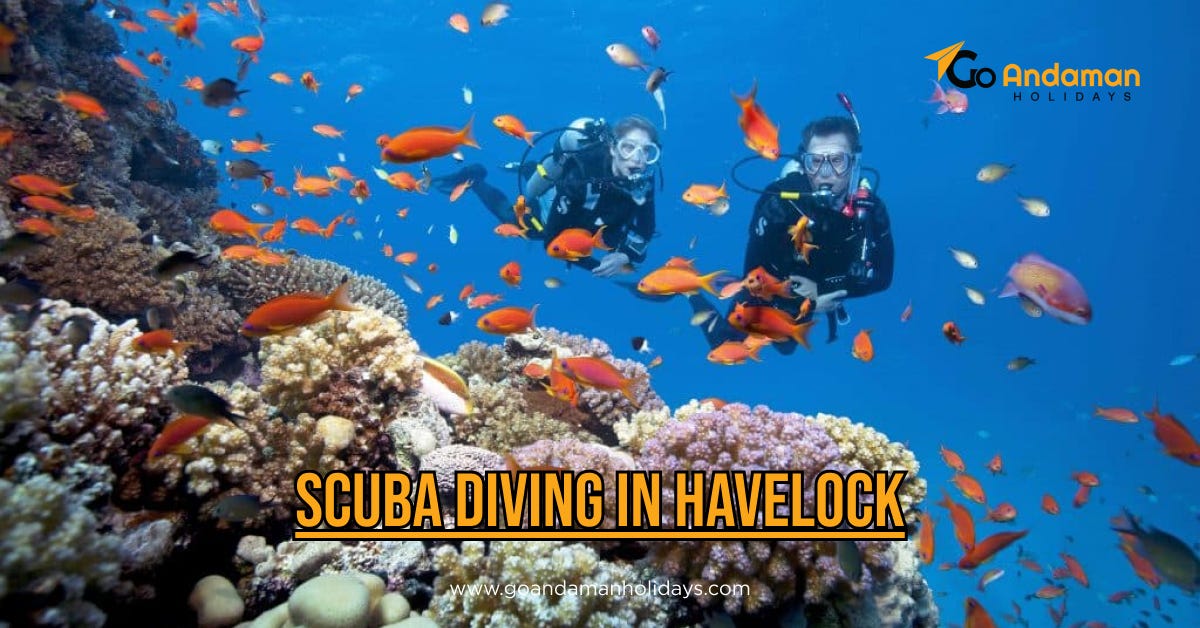 Everything You Need to Know About Scuba Diving in Havelock Island | by Goandamanholidays | Jul, 2025 | Medium