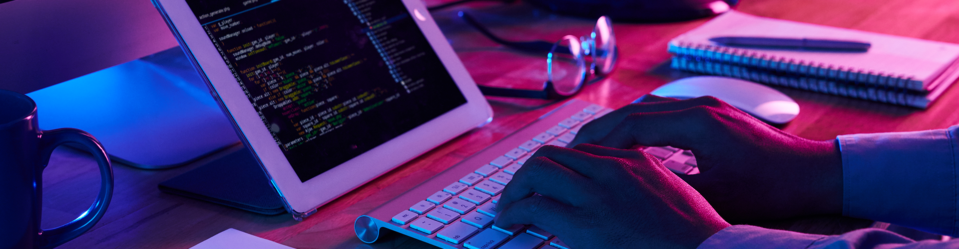 Expert Web Development Services in Florida