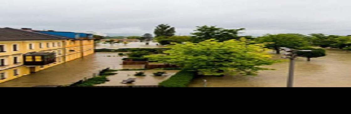 Lasyone Insurance Agency Inc Cover Image