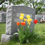 Groves Mann Funeral Home Inc Profile Picture