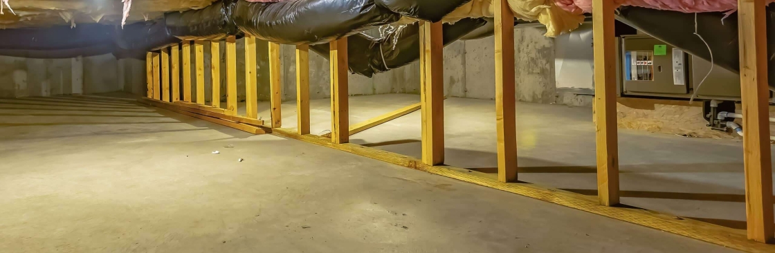 affordable attic Cover Image