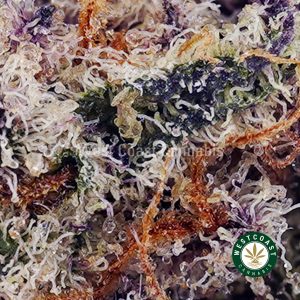 Buy Weed Online Canada: A Convenient and Discreet Way to Access Quality Cannabis - Bcrelx