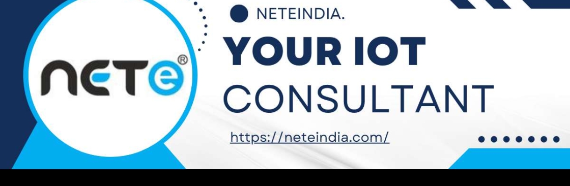 Nete India Cover Image