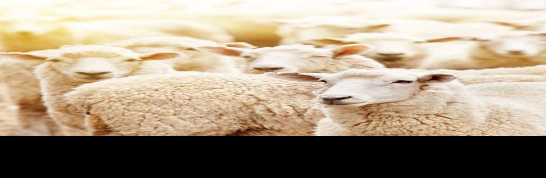 fredandpichies Cover Image
