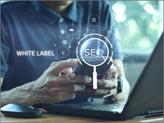 Discover the Benefits of White Label SEO Services for Your Agency's Growth | Apexwebcube