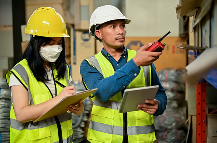 Crafting Expertise in Health and Safety Excellence